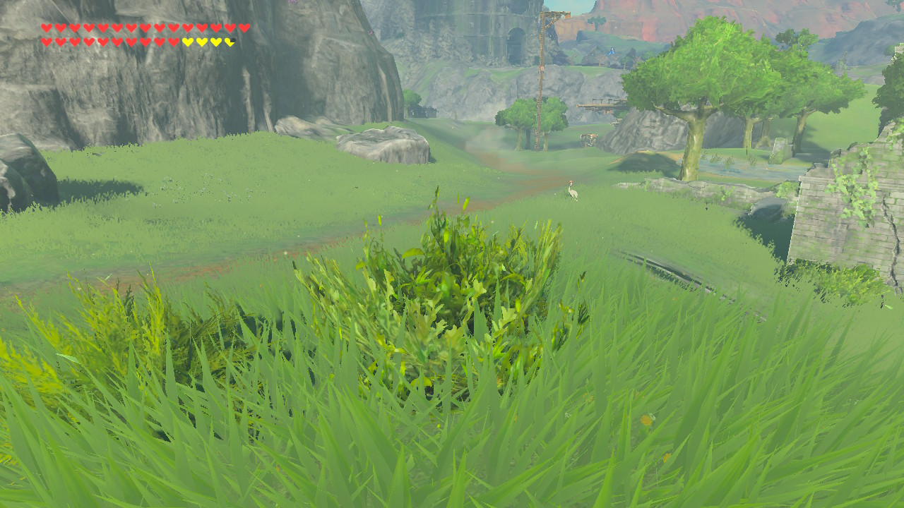 A dirt path in The Legend of Zelda: Breath of the Wild